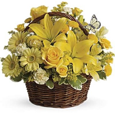 <div class="m-pdp-tabs-description">
<div id="mark-1" class="m-pdp-tabs-marketing-description">Wishes do come true, by the basketful, actually. This delightful arrangement is so full of sunny blossoms, it even includes a pretty yellow butterfly who obviously feels right at home, basking in the warmth.</div>
</div>
<p id="arrngDescp">Brilliant yellow spray roses, asiatic lilies, miniature gerberas, carnations, alstroemeria, button spray chrysanthemums and delightful greenery are joined by a delicate butterfly in an oval basket. It's a basket of wonder and wishes!</p>