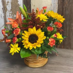 Fall Gardens