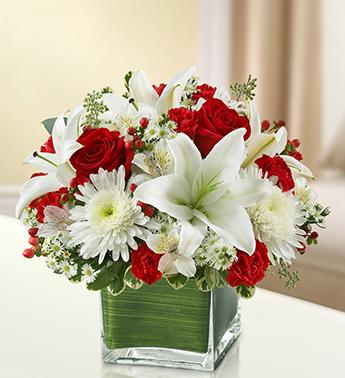 Healing Hope-Red & White