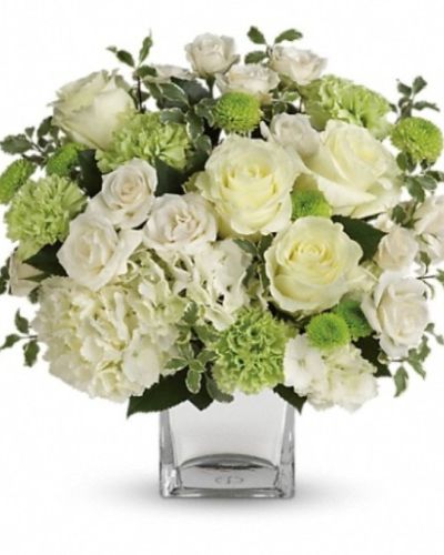 <div class="m-pdp-tabs-description">
<div id="mark-1" class="m-pdp-tabs-marketing-description">Let your love shine! No matter the recipient or the occasion, this stunning monochromatic mix of hydrangea and roses, hand-delivered in a silver cube, is destined to delight and inspire.</div>
</div>
<p id="arrngDescp">This bouquet of blooms includes white hydrangea, white roses, white spray roses, green carnations, green button spray chrysanthemums and pitta negra.</p>